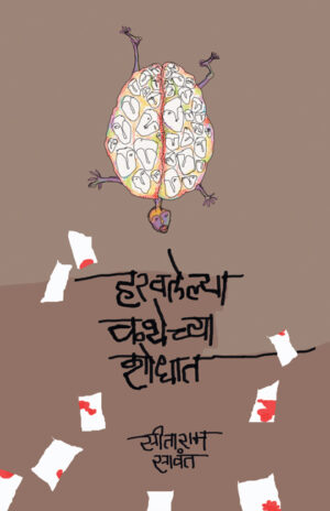 हरवलेल्या कथेच्या शोधात । सीताराम सावंत